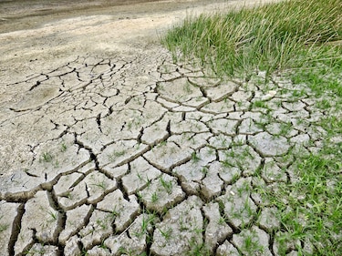 Inseguridad alimentaria y crisis climática requieren acciones colectivas en Centroamérica