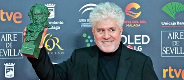 La estela de Pedro Almodóvar en Netflix