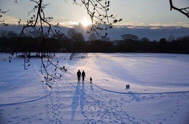 Al menos cinco muertos por nieve y frío que cubren el sur de Estados Unidos