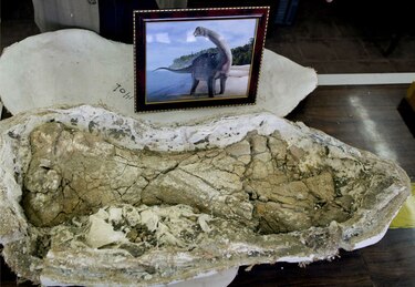 Un nuevo dinosaurio abre camino a otros hallazgos en Egipto