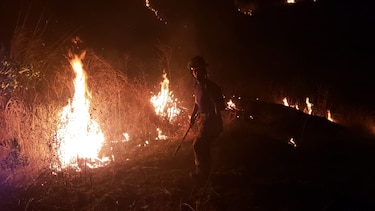 Hasta febrero, los Bomberos han atendido 1,158 incendios de herbazales