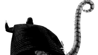 Normas de comportamiento