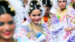 Puntos relevantes sobre la pollera