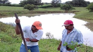 Reforestan reservorios en la provincia de Los Santos