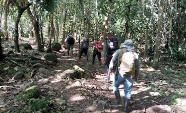Panamá y Costa Rica evalúan la situación ambiental del Parque Internacional La Amistad