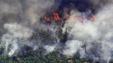 Bolsonaro, bajo presión mundial, evalúa enviar militares para controlar incendios en la Amazonía