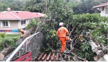 Sinaproc registra 10 viviendas afectadas por caída de árboles en Panamá Oeste
