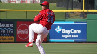 El panameño Harold Araúz lanza 'no hitter' en ligas menores