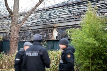 Una mujer y sus dos hijas se reconocen responsables de incendio en zoológico alemán