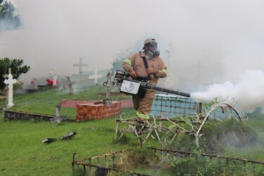 Dengue en Panamá: aumento del 80% en casos y 50 muertes en 2024