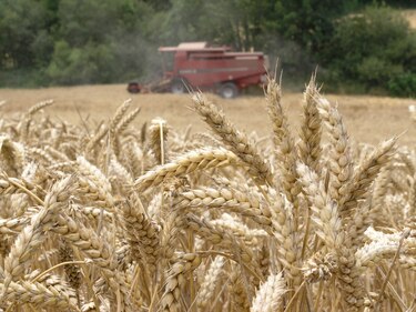 Valor de agroexportación europea aumentó 3.1%  durante septiembre