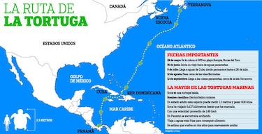 El viaje de Soca