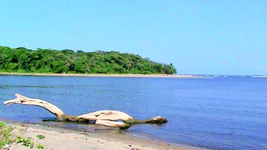 Investigan extracción de arena en playas de la costa atlántica