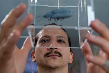 Arte y ciencia se unen en Costa Rica para retratar el cambio climático