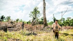 Intereses detrás del daño ambiental