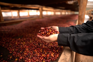 Empresa Panameña de Alimentos, epa, fortalece su compromiso sostenible