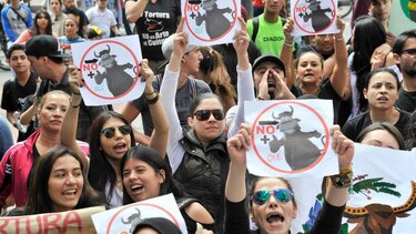 Entre protestas, regresan corridas de toros a Bogotá