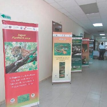 $1.9 millón para biodiversidad de Darién