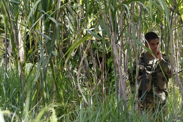 Nuevos enfrentamientos en Colombia entre el ELN y disidencias de las FARC dejan 16 muertos
