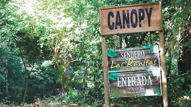 ‘Canopy’ irá otra vez a subasta