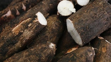 Sabores, cultura y memorias