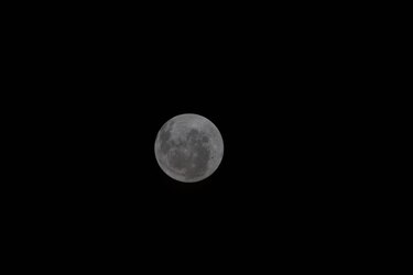 NASA publica la primera foto de la cara oculta de la Luna tomada por la misión Artemis II