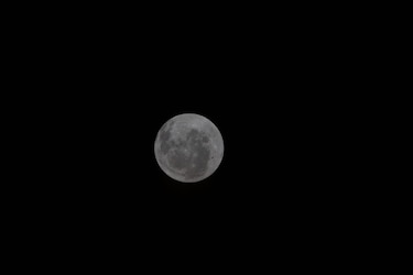 NASA publica la primera foto de la cara oculta de la Luna tomada por la misión Artemis II