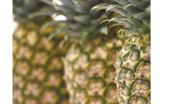 Frutas, protagonistas de la alimentación saludable
