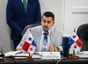 Proponen flexibilizar norma para que independientes puedan donar el subsidio poselectoral a hospitales