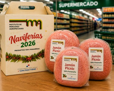 IMA consultará a consumidores sobre venta de bolsas navideñas en supermercados