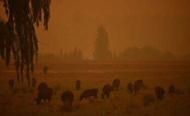 Vientos huracanados generan en Australia un gigantesco ‘megaincendio’