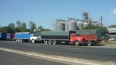 Maiceros de Azuero piden más seguridad para evitar robos