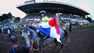 Ejemplares, a la pista boricua