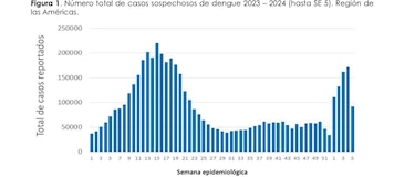 Alerta epidemiológica: Continúa el aumento de casos de dengue en las Américas