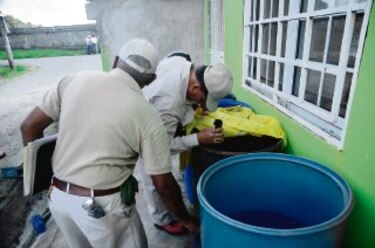 Minsa reporta dos defunciones y más de mil casos de dengue 