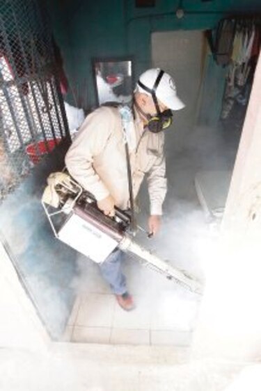 Epidemia de dengue se cobra otra vida
