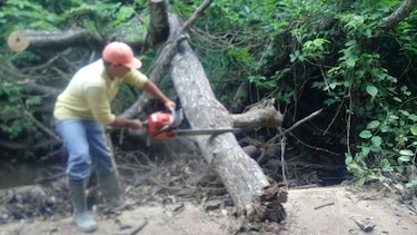 Lluvias arrastran gran cantidad de madera hacia los vados en Los Santos