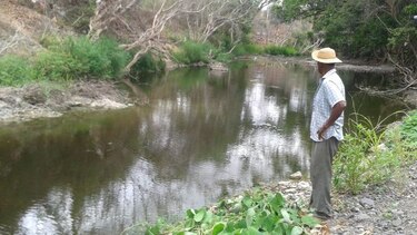Exigen investigar las causas de la contaminación en el río Guararé
