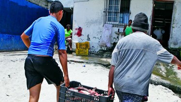 Manejo ambiental, un reto del país