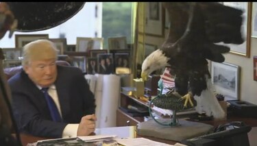Águila atacó a Donald Trump durante sesión de fotos para la revista 'Time'