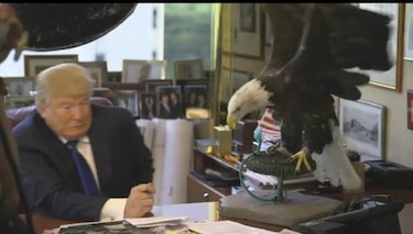 Águila atacó a Donald Trump durante sesión de fotos para la revista 'Time'