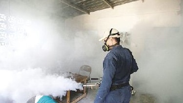 Criaderos del ‘Aedes aegypti’ en Juan Díaz
