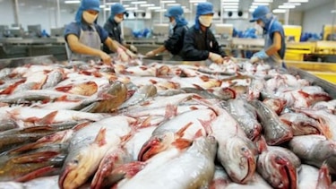 Productos del mar de Vietnam en la mira de la Aupsa
