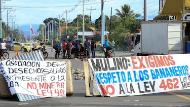 Huelga bananera en Bocas del Toro: dirigente sindical pide un diálogo nacional y denuncia abandono estatal en la provincia
