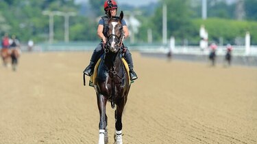 Luis Sáez va por la revancha en el Belmont Stakes
