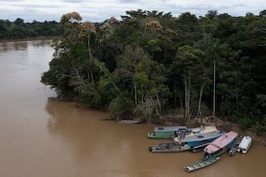 Hallan ‘restos humanos’ en búsqueda de periodista e indigenista desaparecidos en Brasil