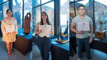 Apical Reforestadora y Ganexa celebran la creatividad y sostenibilidad con el concurso “Expresiones en Madera: dinamismo y utilidad”