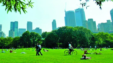 Cultivos en los parques públicos