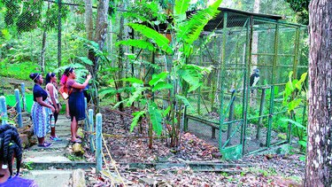 Rescatar el Summit cuesta 37.7 millones de dólares