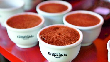 Café geisha se cotiza a $601 la libra en China